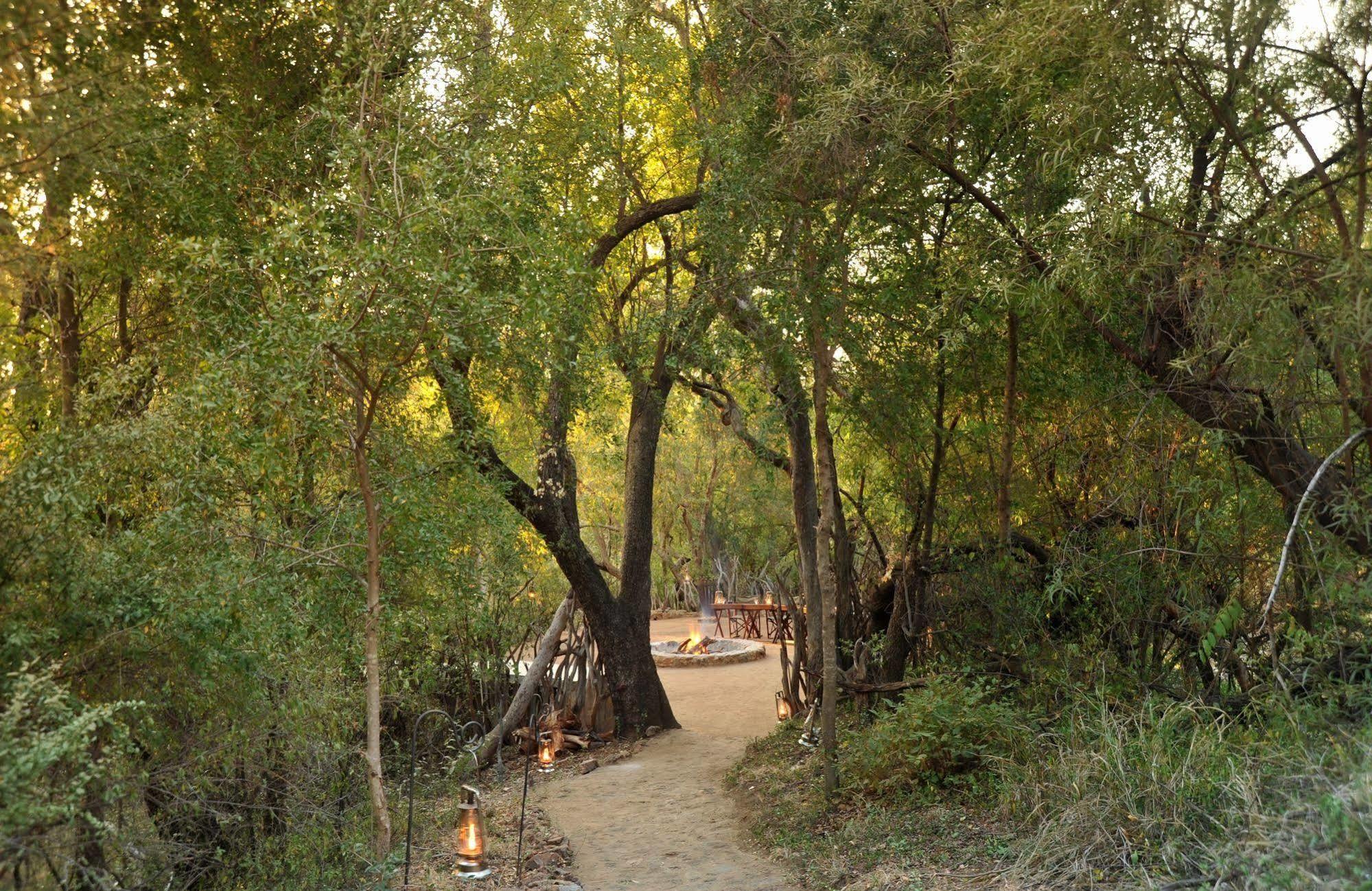 Aha Thakadu River Camp 매디퀘동물보호구역 외부 사진